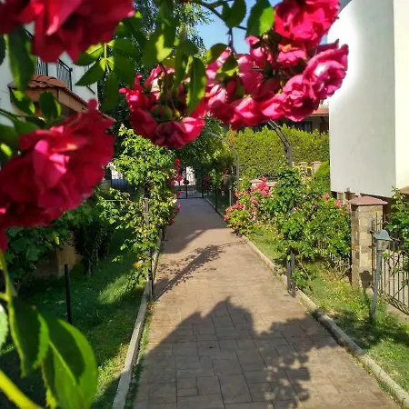 Apollo Apartamento